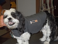 Thunder coats for dogs reviews sale